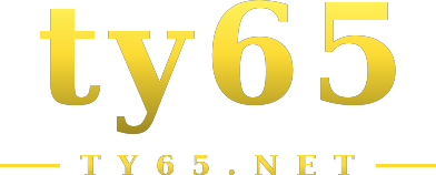 ty65 logo